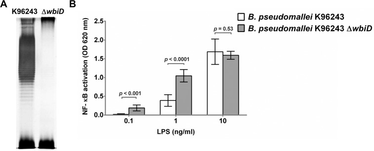 Fig 11