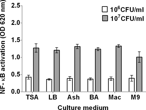 Fig 6