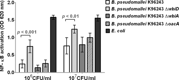 Fig 9