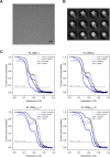 Figure 1—figure supplement 1.