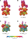 Figure 1—figure supplement 2.