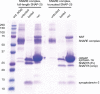 Figure 10—figure supplement 1.