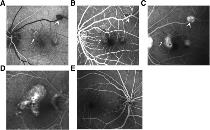 Fig. 4