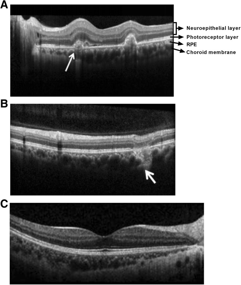 Fig. 5