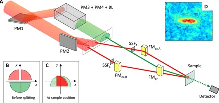 Fig. 1