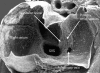 Figure 8