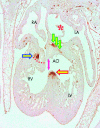 Figure 20