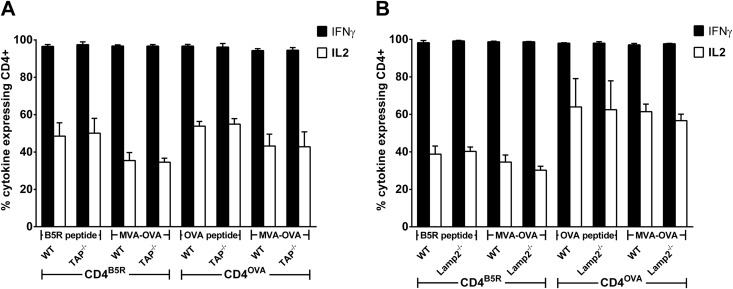 FIG 6