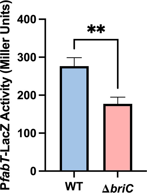 FIG 3