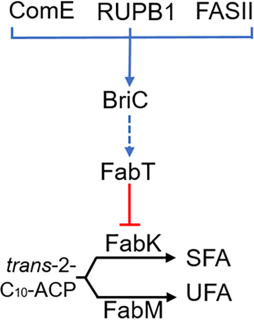 FIG 5