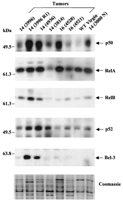 FIG. 5.