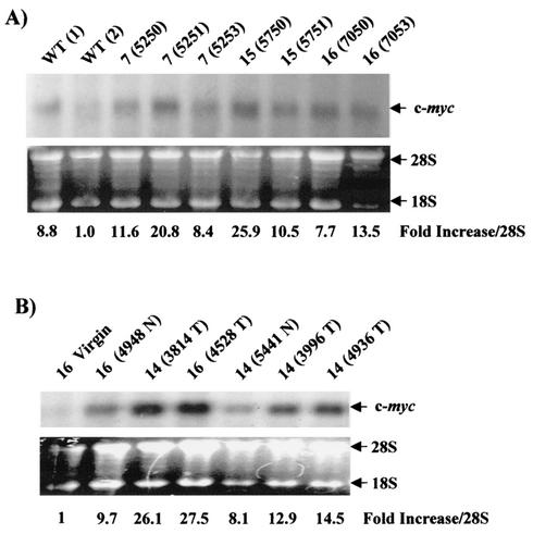 FIG. 8.