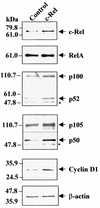 FIG. 12.
