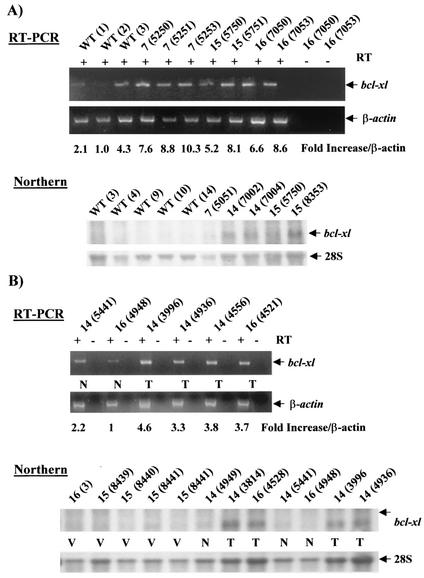 FIG. 10.