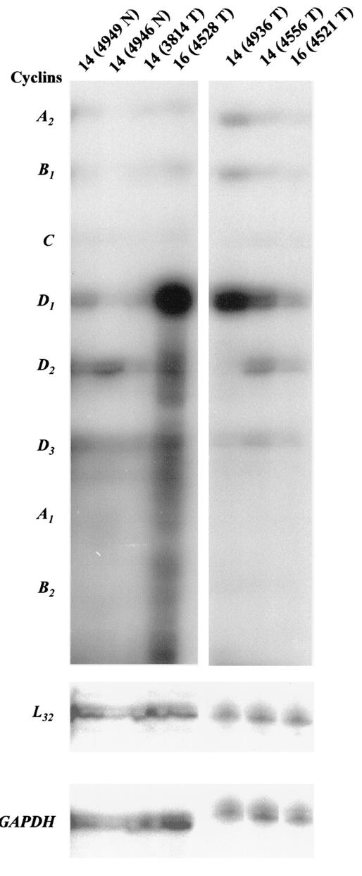 FIG. 7.