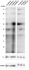 FIG. 7.