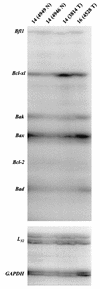 FIG. 9.