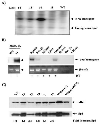 FIG. 1.