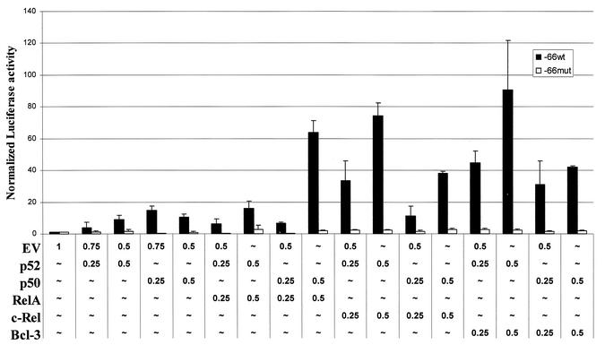 FIG. 11.