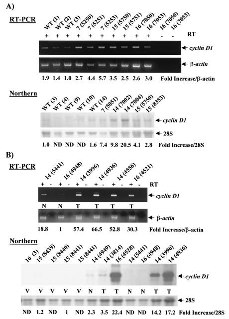 FIG. 6.