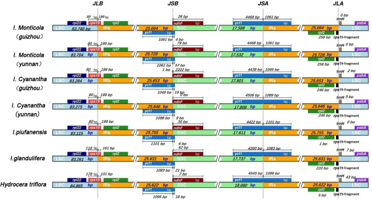 Fig 6