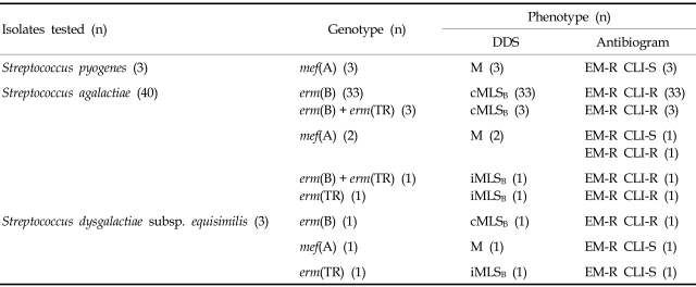 graphic file with name ymj-48-773-i002.jpg