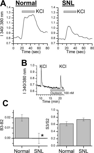 Fig.1