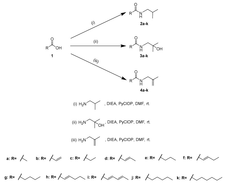 Scheme 2