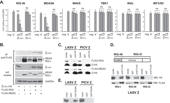 FIG 2