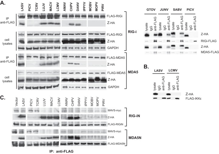 FIG 3