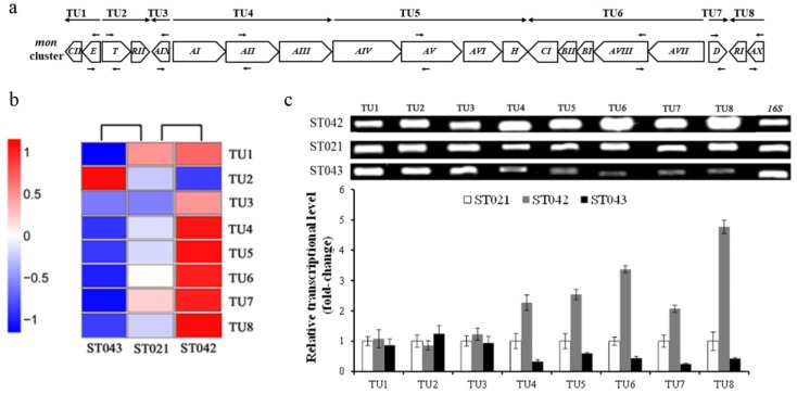 Figure 5