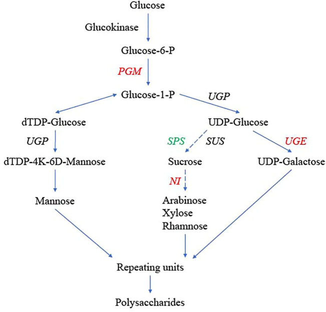 FIGURE 7