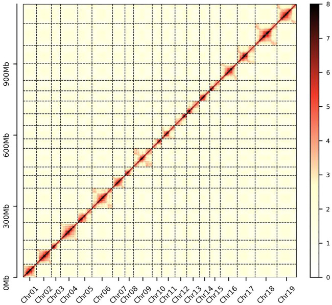 FIGURE 3