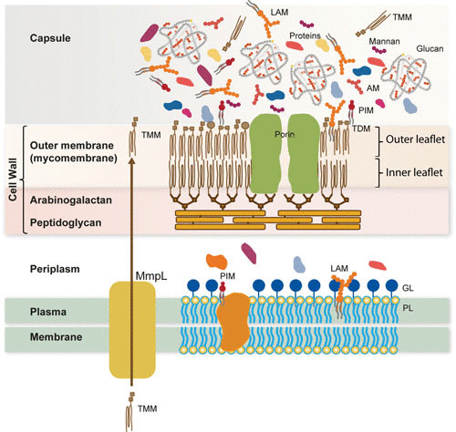 FIGURE 3