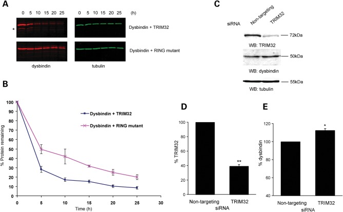 Figure 4.