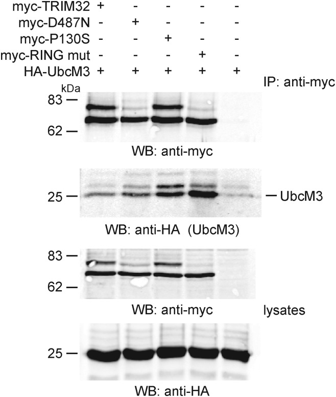 Figure 6.