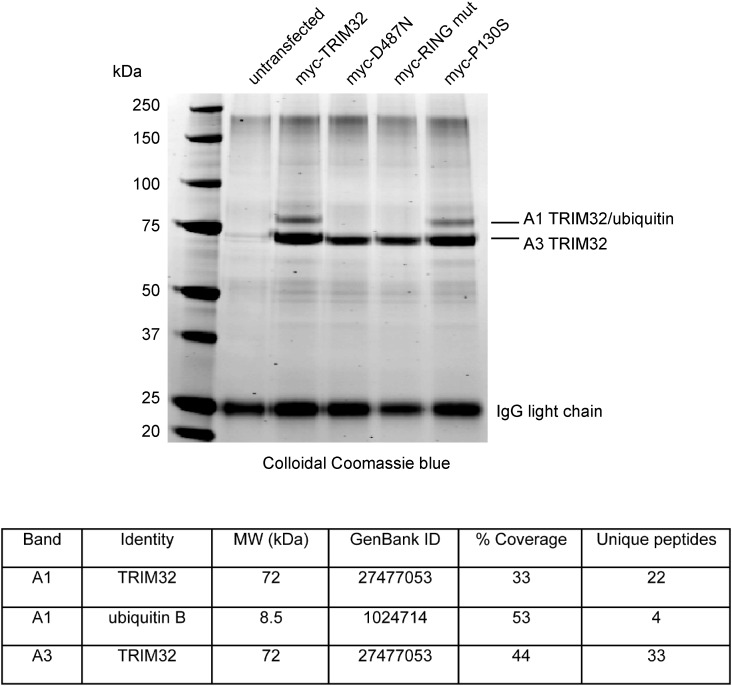 Figure 7.