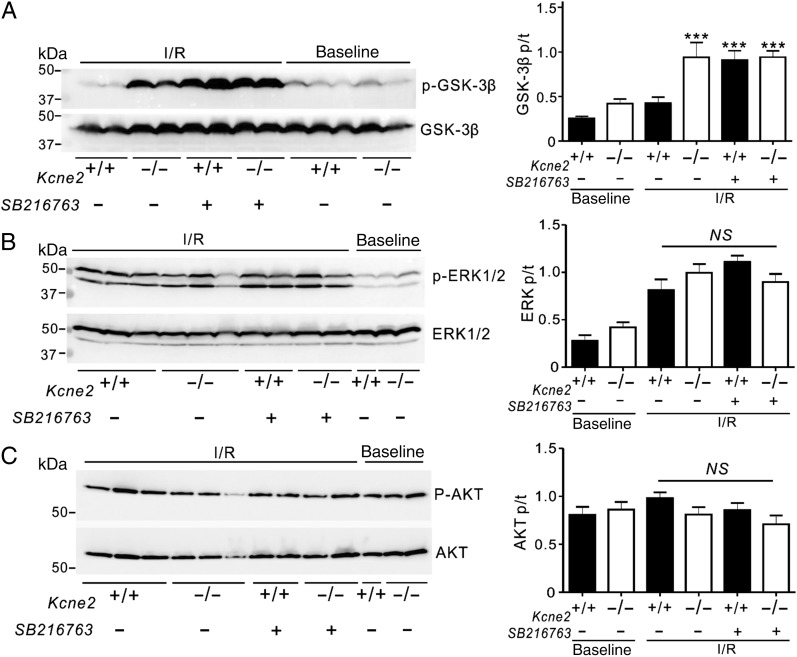 Figure 6