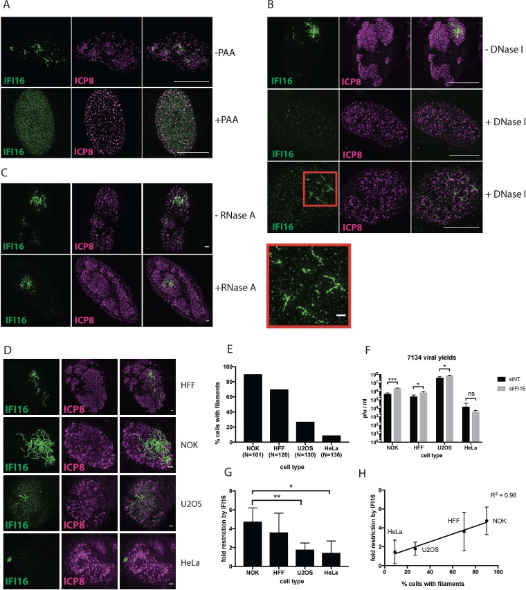 FIG 2