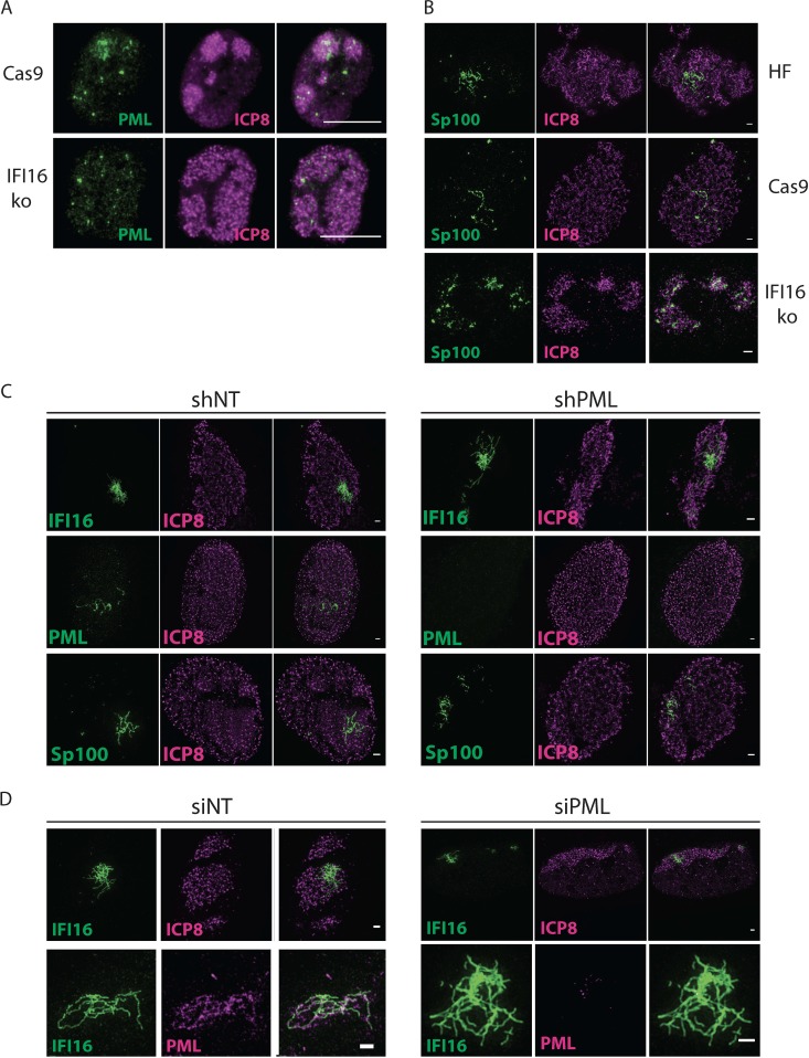 FIG 6