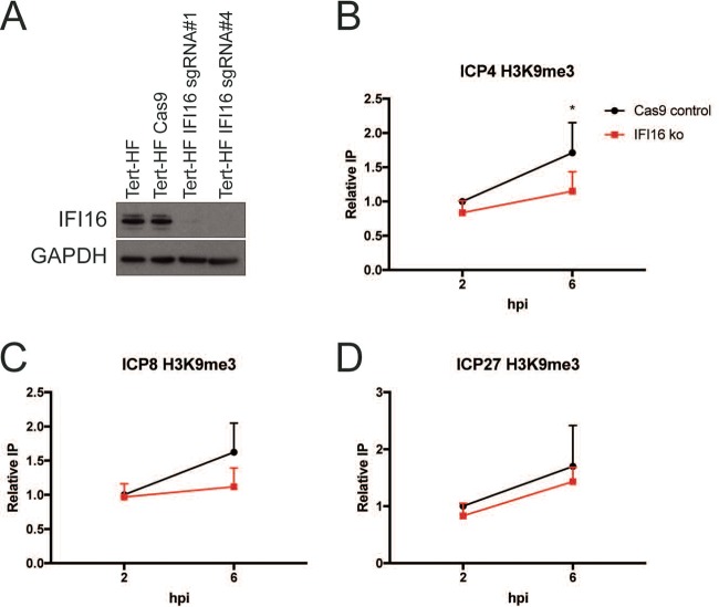 FIG 3