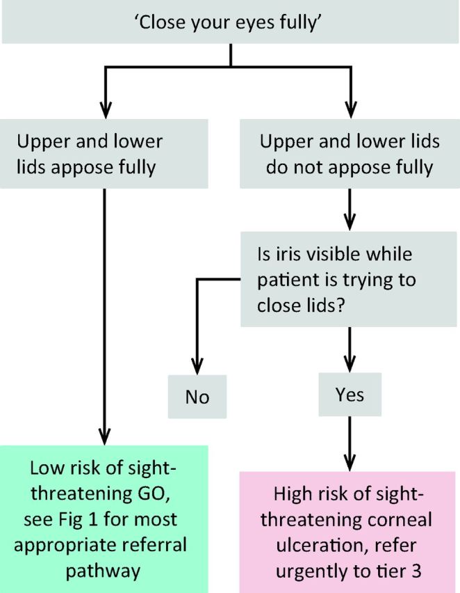 Fig 3.