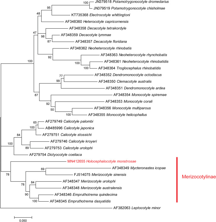 Figure 1