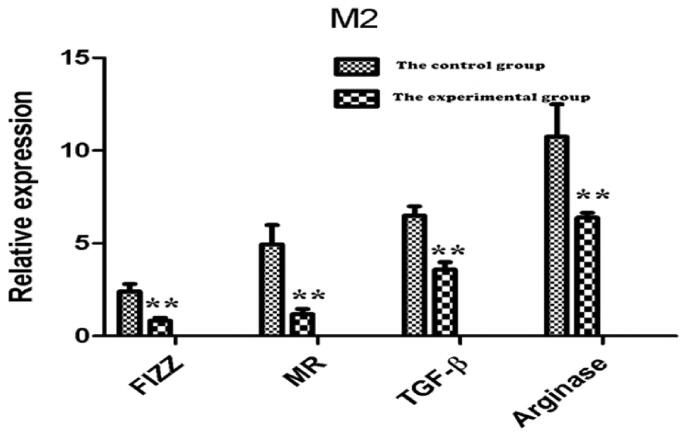 Figure 9.