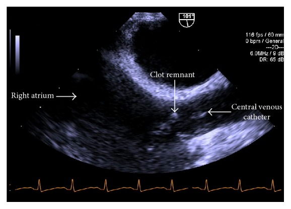 Figure 5