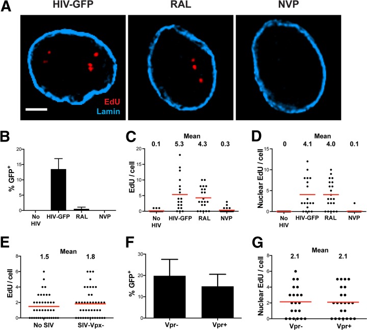 FIG 2