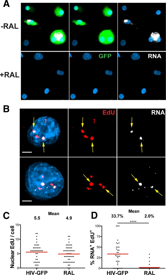 FIG 6