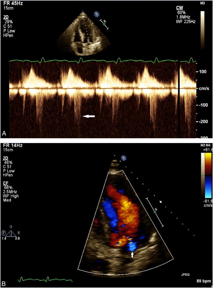 Figure 1