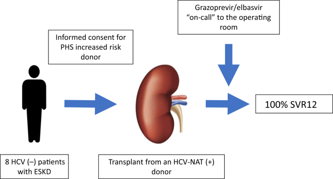 Figure 1