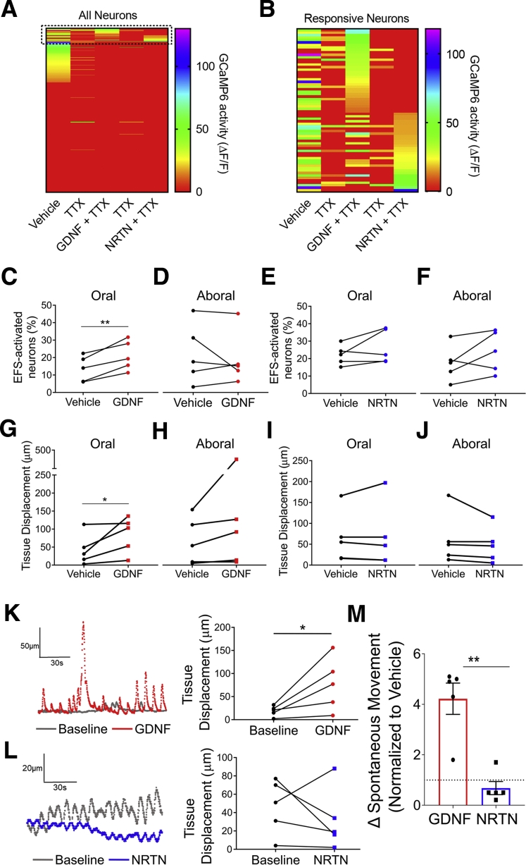 Figure 6